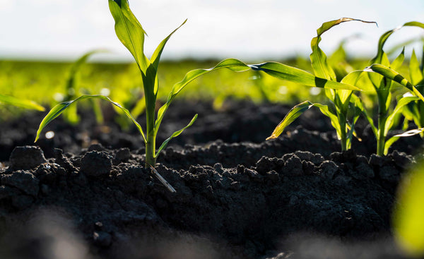 Specialty Products – AGPRO