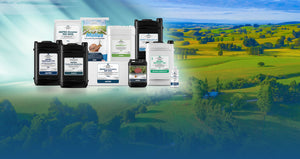 Ag Pro Management AGPRO